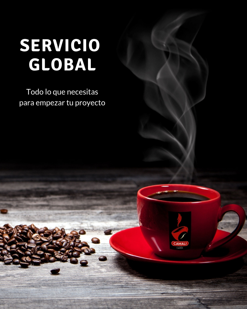 10princi-servicio-global.jpg
