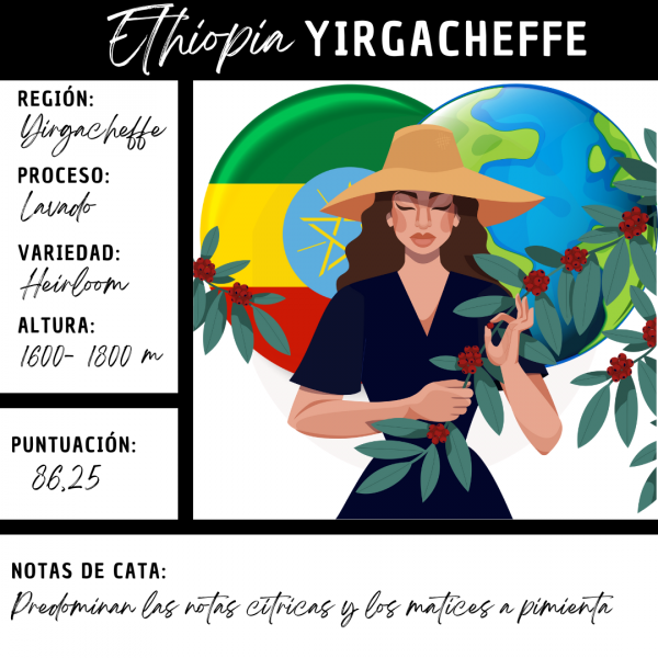 Ethiopía Yirgacheffe Café Doypack 250g - Imagen 2
