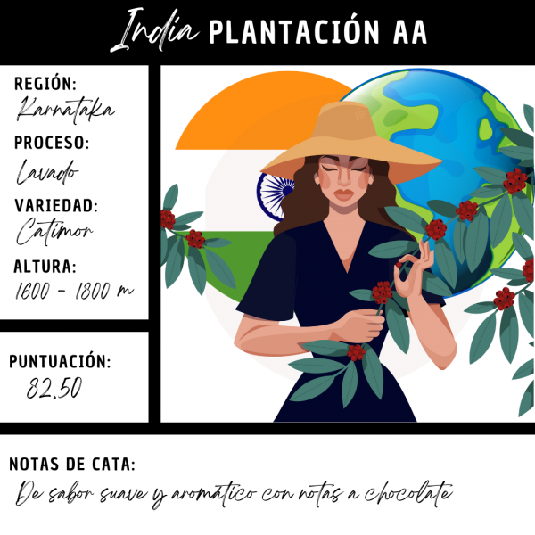 India Plantación AA Café Doypack 250g - Imagen 2