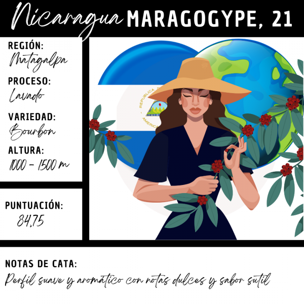 Nicaragua Maragogype 21 Café Doypack 250g - Imagen 2
